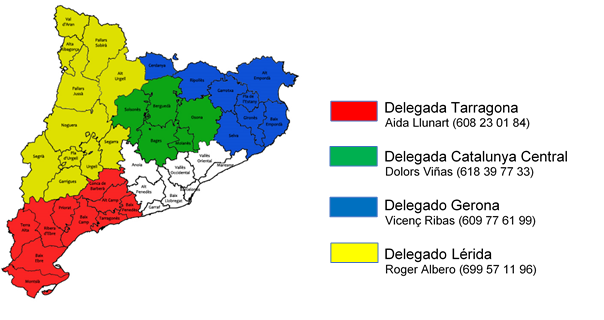 delegados